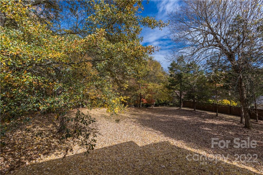 7209 Ramsgate Road Charlotte, NC 28270 - Photo 41 of 41 a view of a yard with large trees