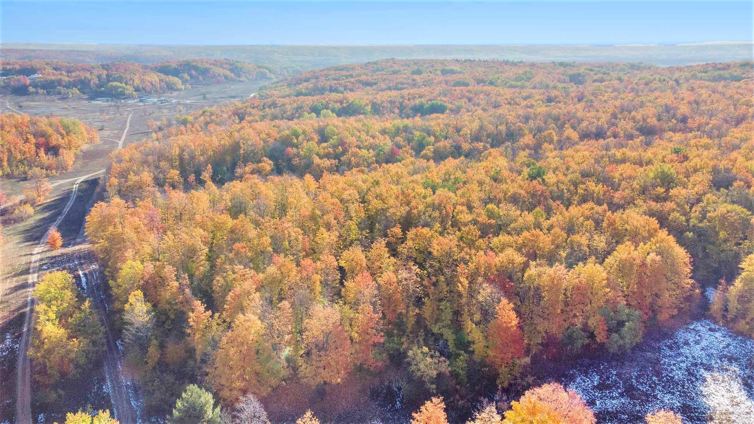 0 Twin Peaks Road Frederic, MI 49733 - Photo 9 of 35 Gallery Image 9