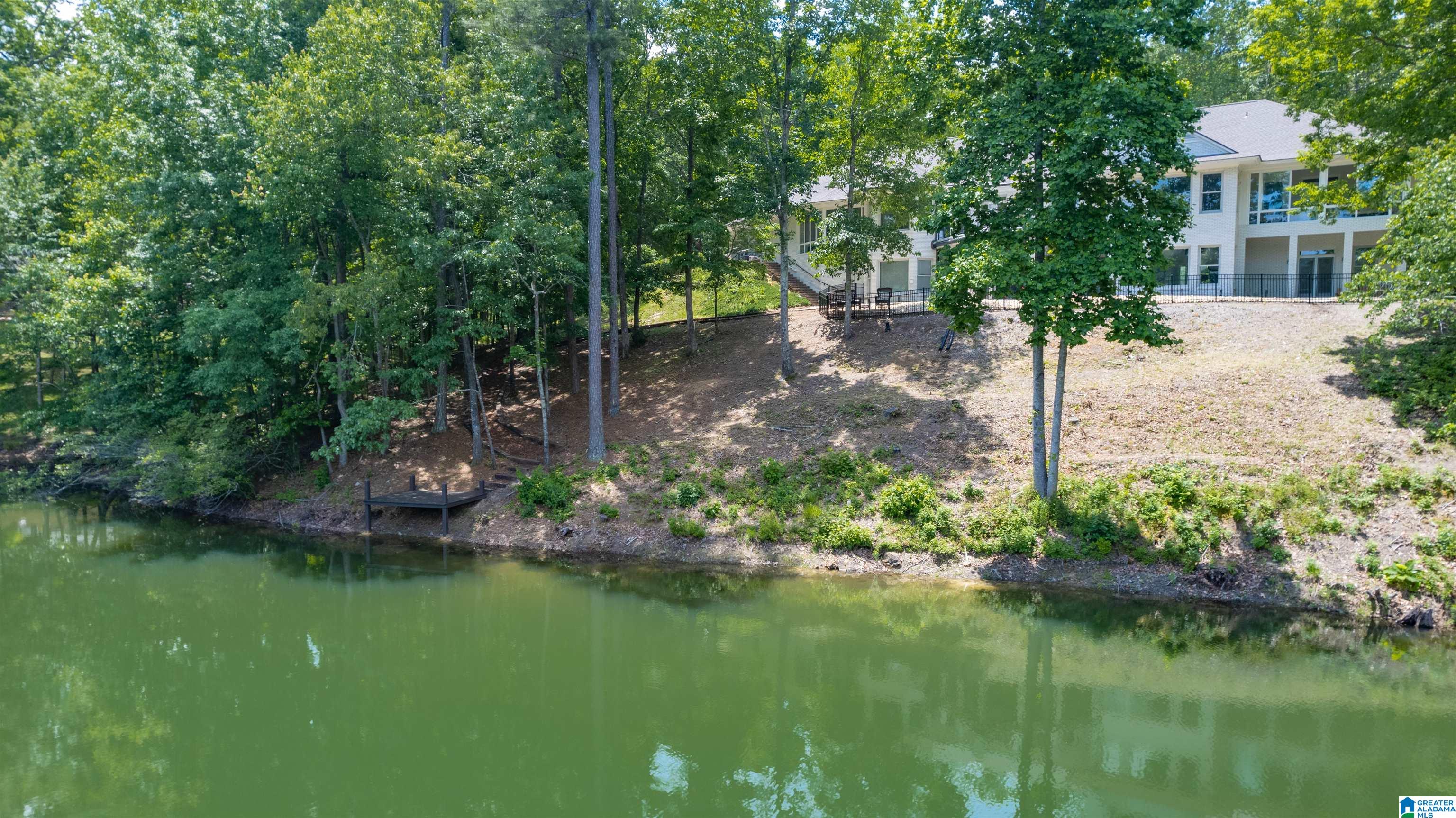 502 Carnousite Birmingham, AL 35242 - Photo 4 of 61