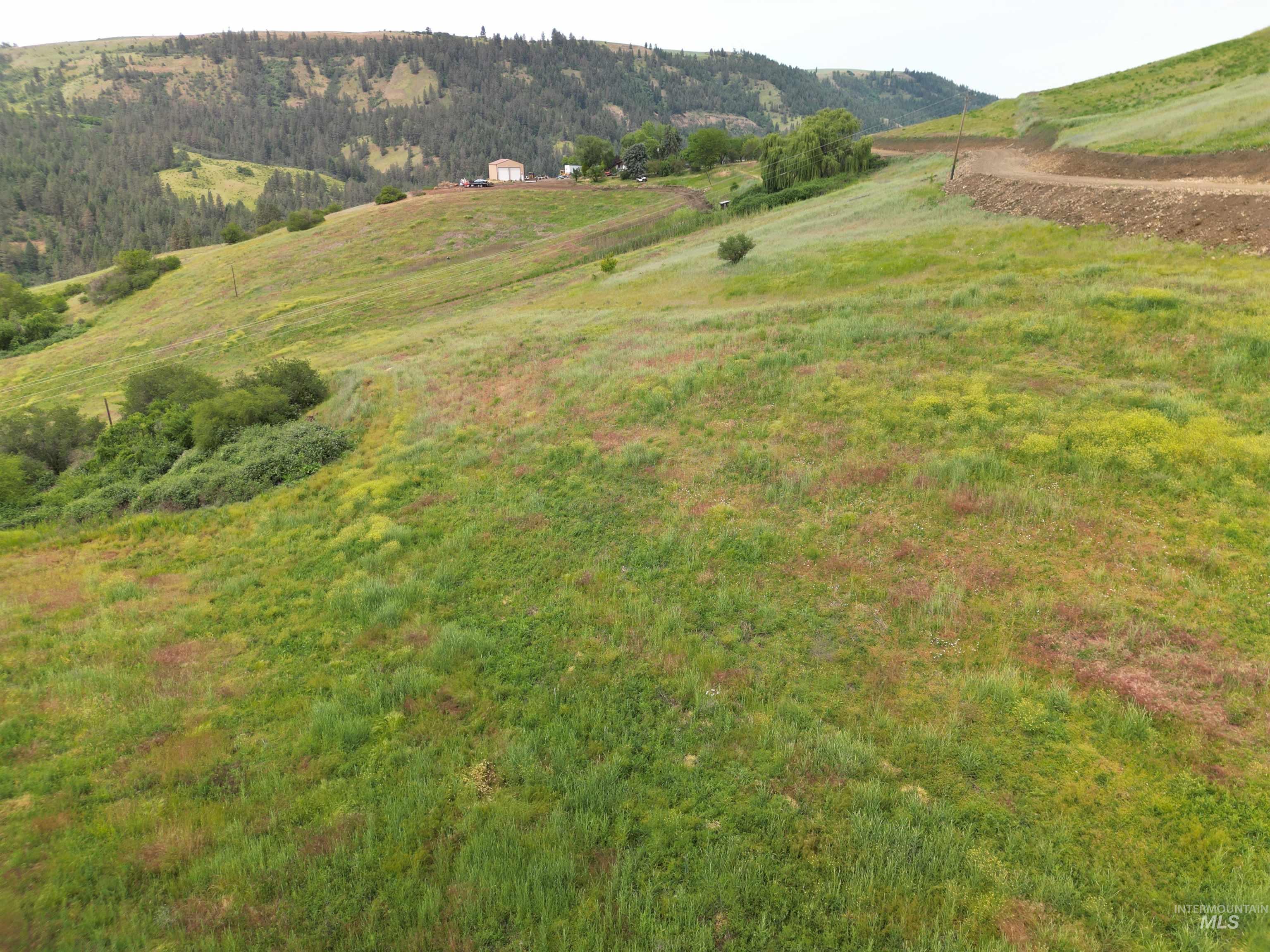 0 American Ridge Road Kendrick, ID 83537 - Photo 14 of 15