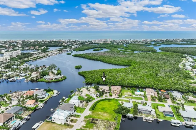 a view of a house with a yard and plants