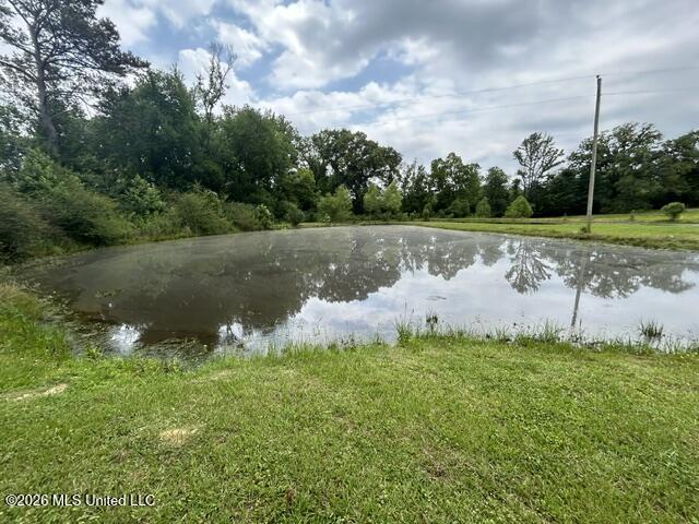 2096 Swilley Road Wesson, MS 39191 - Photo 67 of 86 IMG_4337