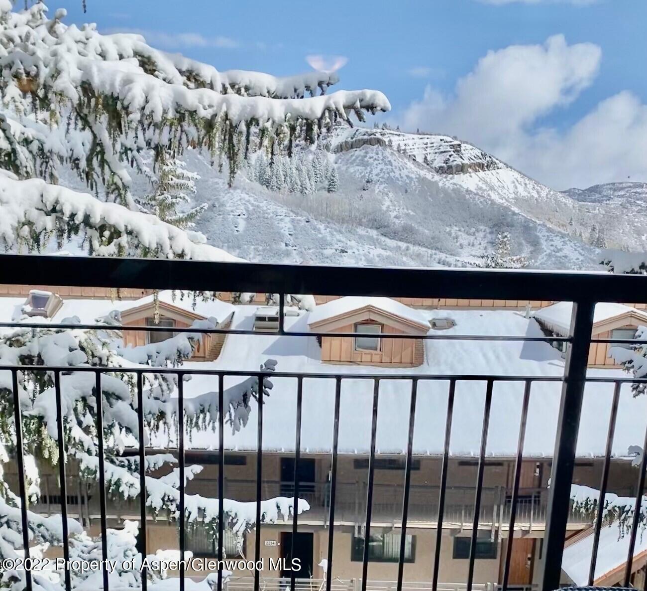 3305 I Wood Road Snowmass Village, CO 81615 - Photo 16 of 49 views