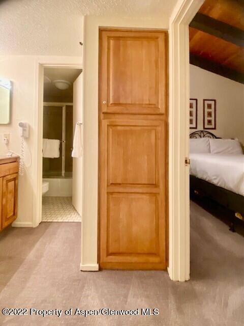 3305 I Wood Road Snowmass Village, CO 81615 - Photo 17 of 49 batthroom storge