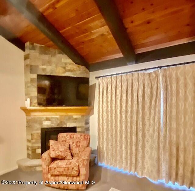 3305 I Wood Road Snowmass Village, CO 81615 - Photo 18 of 49 cozy lr shot