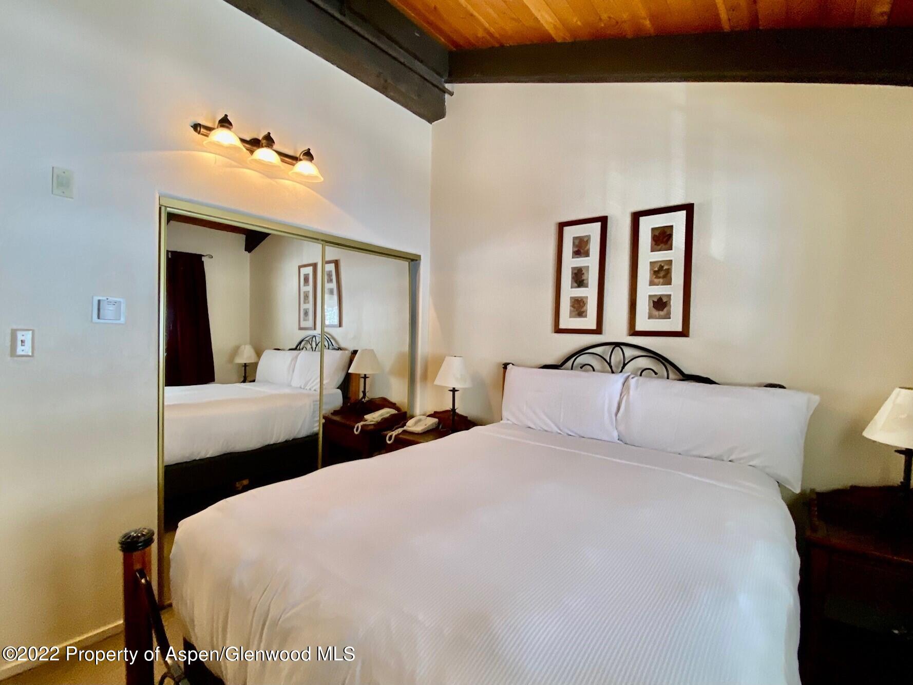 3305 I Wood Road Snowmass Village, CO 81615 - Photo 2 of 49 bedroom 2