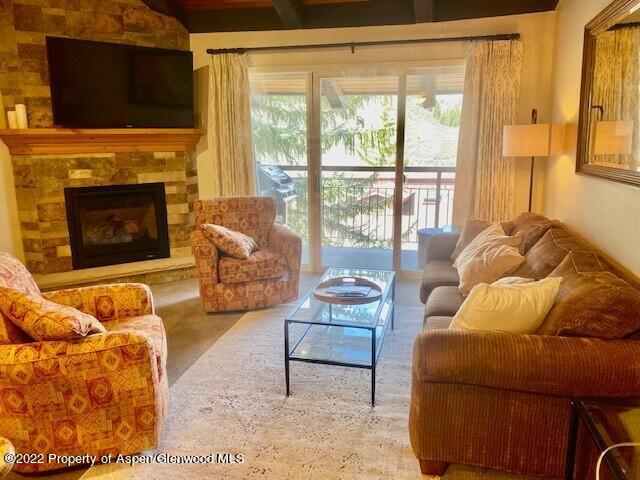 3305 I Wood Road Snowmass Village, CO 81615 - Photo 6 of 49 living room