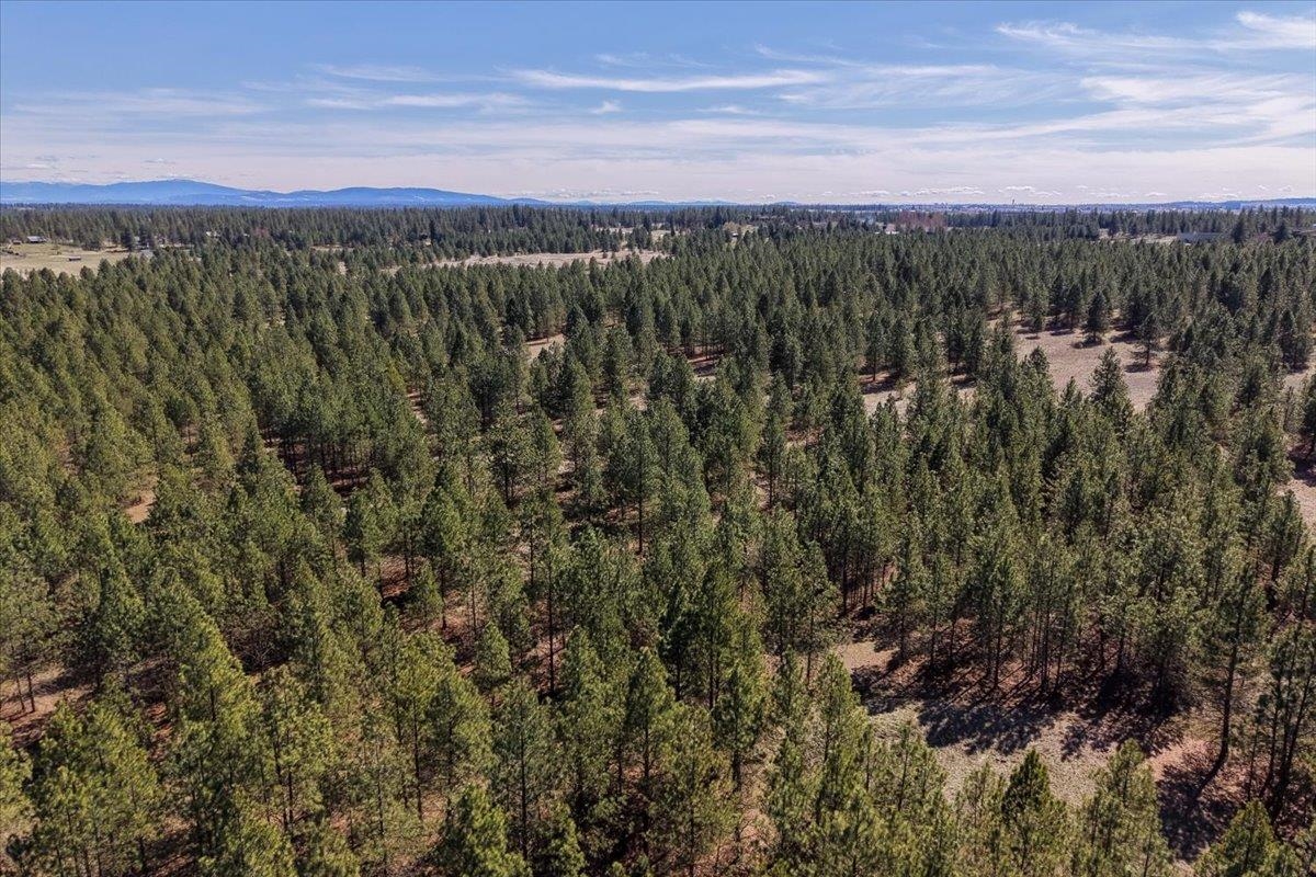 Tbd North Hayford Road Spokane, WA 99224 - Photo 18 of 20
