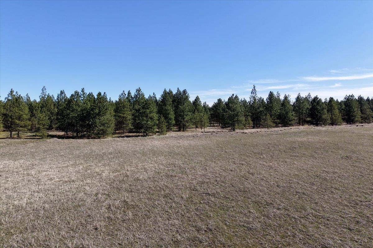 Tbd North Hayford Road Spokane, WA 99224 - Photo 8 of 20