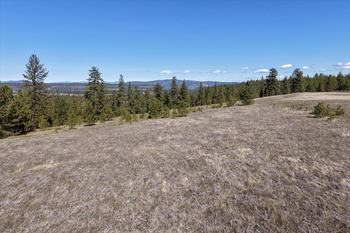 Tbd North Hayford Road Spokane, WA 99224 - Photo 10 of 20