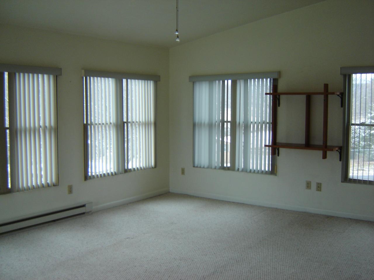 3051 Webster Road Blue Ridge, VA 24064 - Photo 23 of 39 an empty room with windows