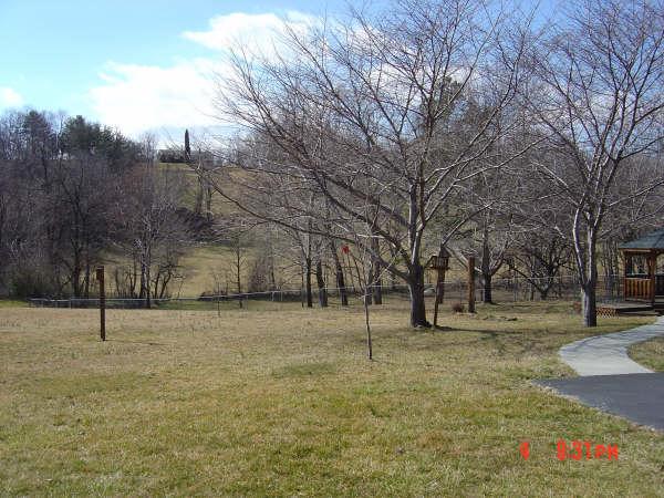 3051 Webster Road Blue Ridge, VA 24064 - Photo 35 of 39 a backyard of a house with lots of green space