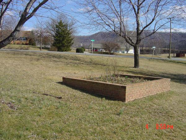 3051 Webster Road Blue Ridge, VA 24064 - Photo 38 of 39 a view of a yard with an trees