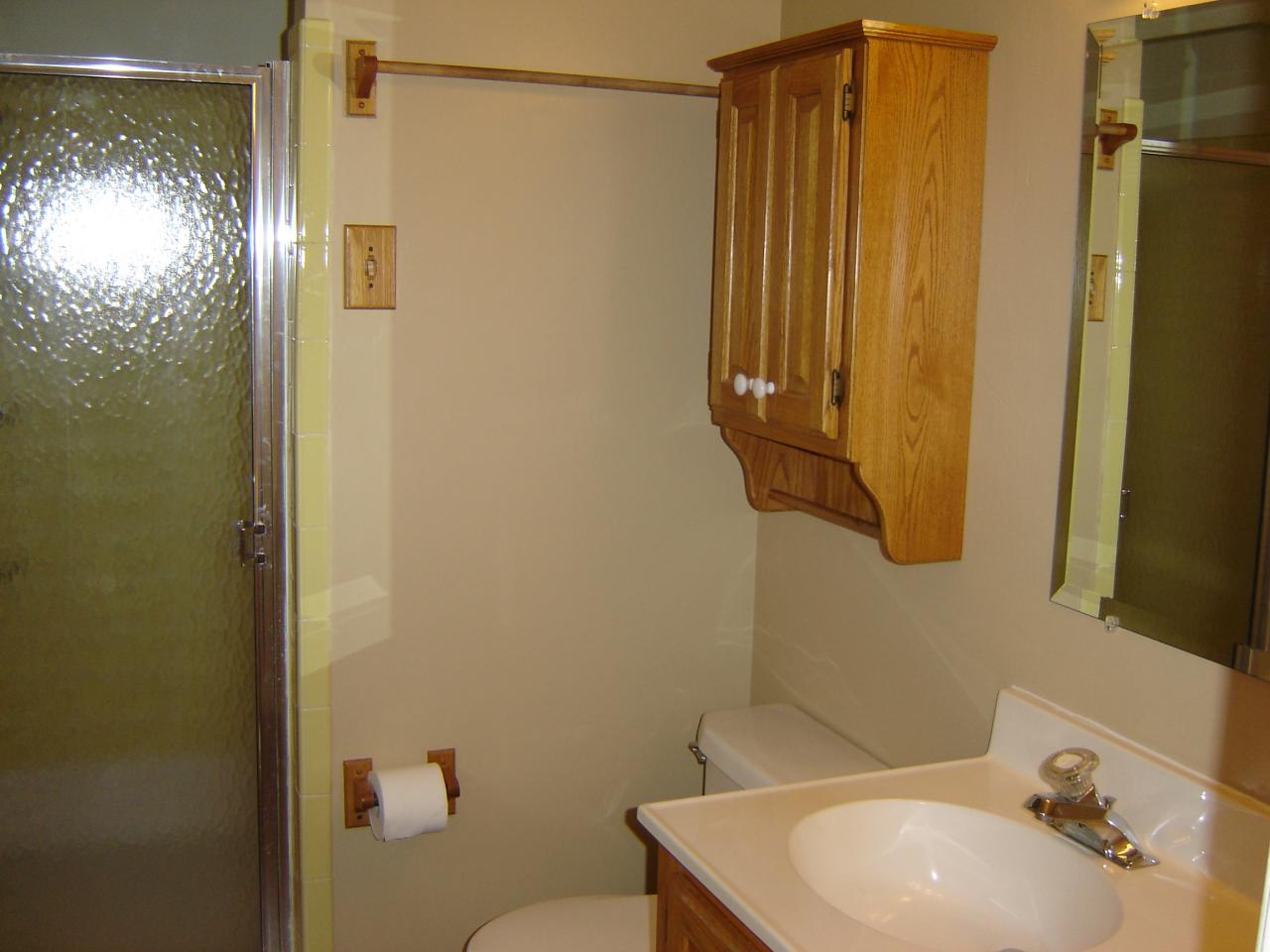 3051 Webster Road Blue Ridge, VA 24064 - Photo 7 of 39 a bathroom with a sink a toilet and shower