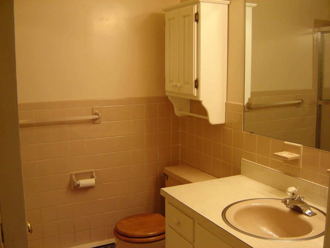 3051 Webster Road Blue Ridge, VA 24064 - Photo 9 of 39 a bathroom with a sink a toilet and a mirror