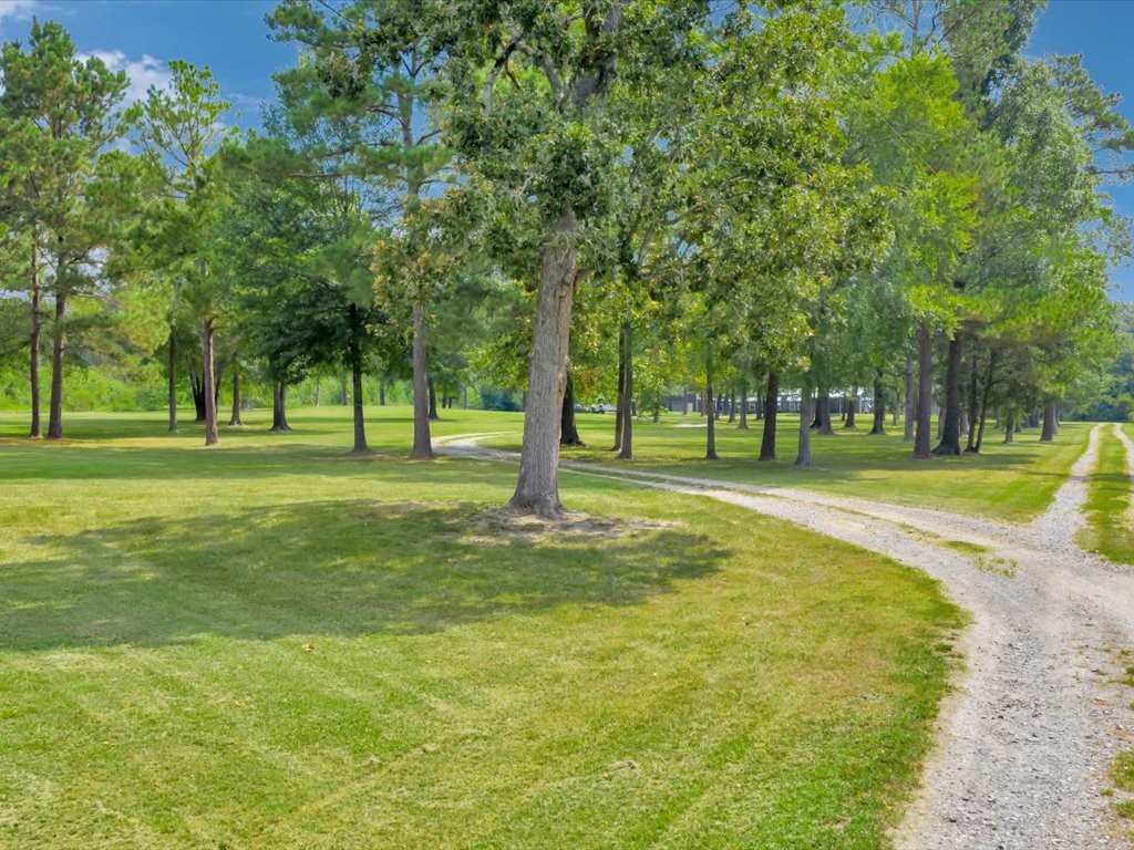 3335 Bethlehem Road Lufkin, TX 75904 - Photo 4 of 50 a view of a park with a tree