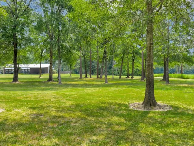 a view of a park with lots of trees