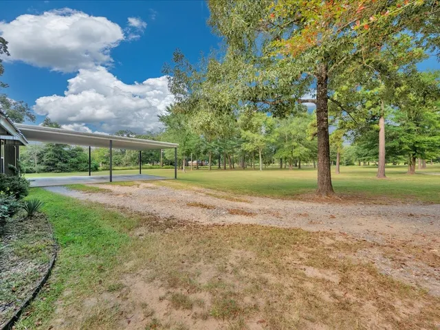a view of a park with large trees