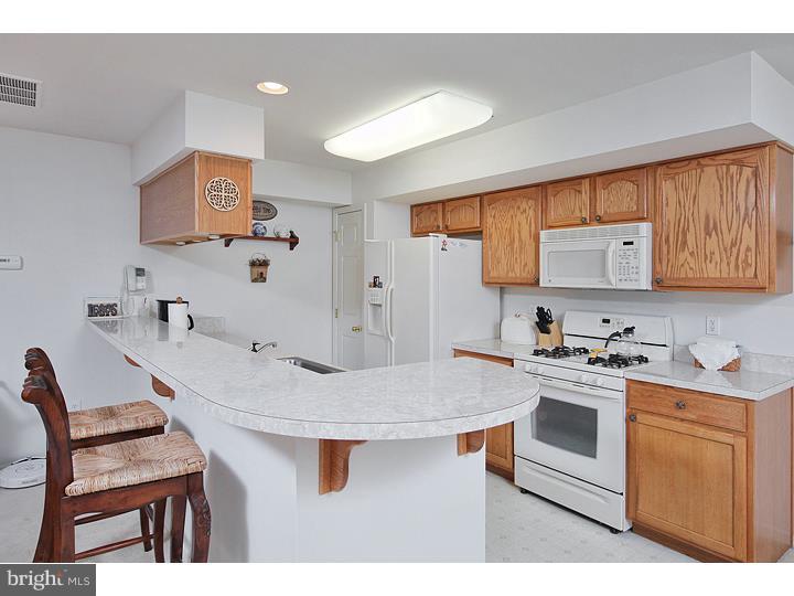 46 Gasko Road Mays Landing, NJ 08330 - Photo 6 of 16 Gallery Image 6