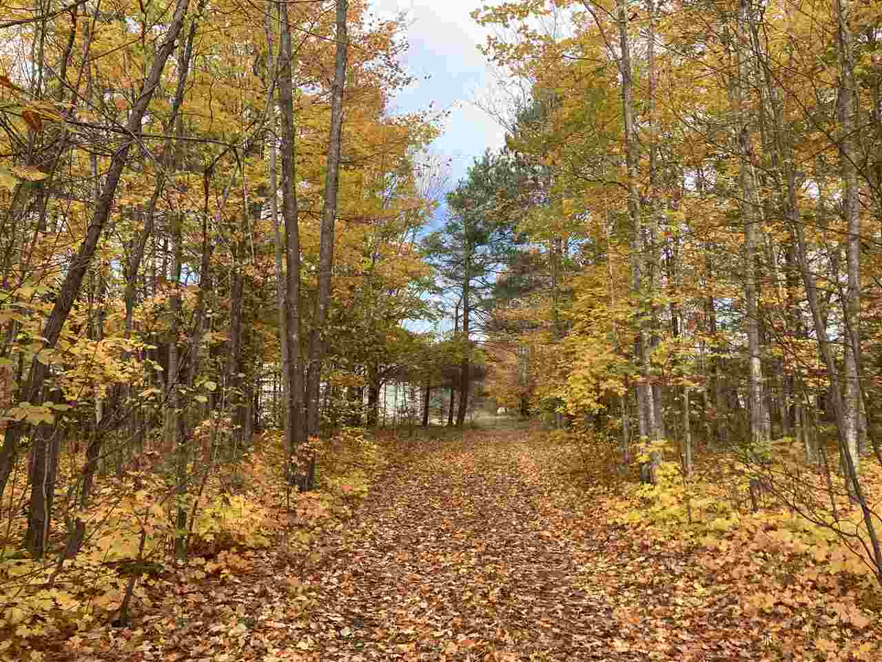 11156 Cinder Road Beulah, MI 49617 - Photo 34 of 37 1882651-33.JPG