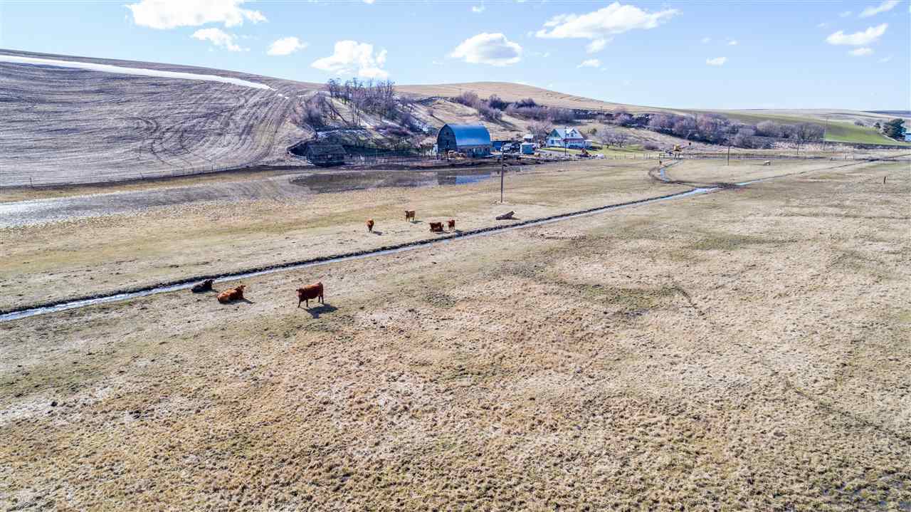 101 Musgrave Road Colfax, WA 99111 - Photo 18 of 19