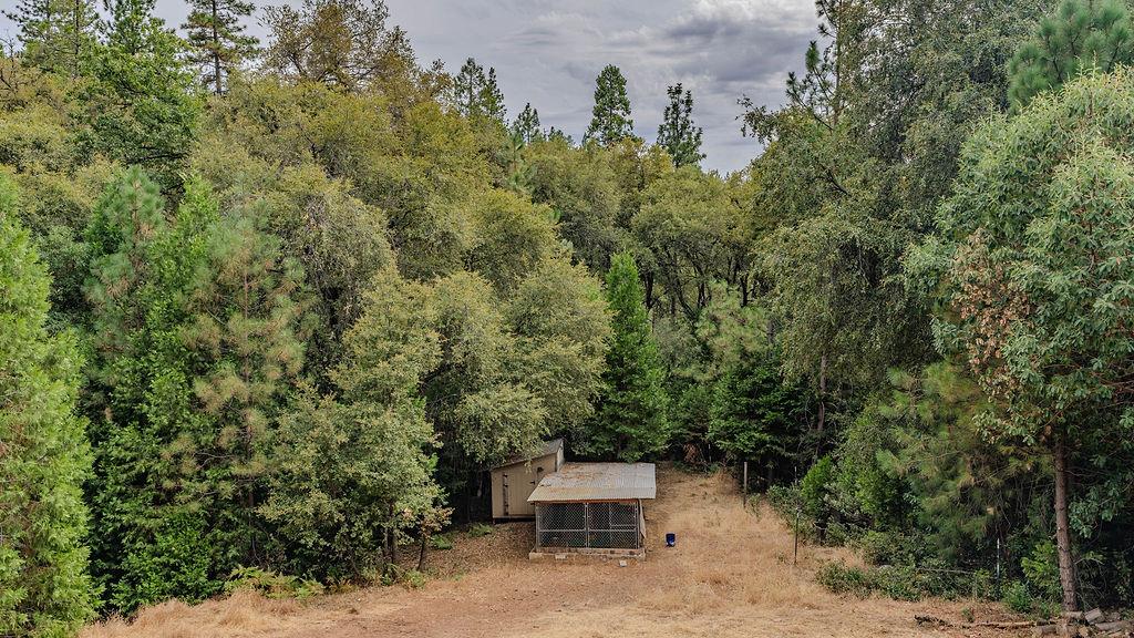 12511 Tabeaud Road Pine Grove, CA 95665 - Photo 63 of 99 Gallery Image 63
