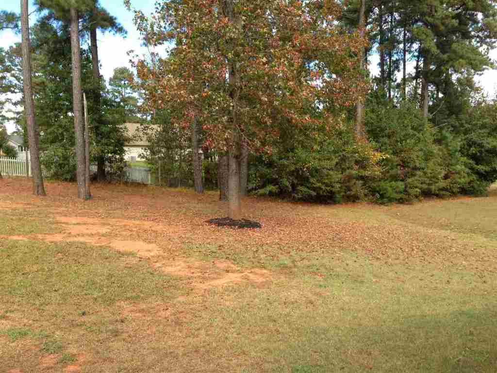 5682 Pearman Dairy Road Anderson, SC 29625 - Photo 17 of 20