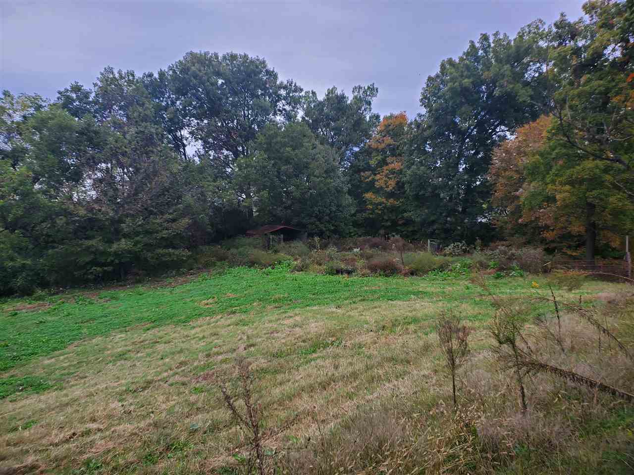 84 Chisholm Lake Road Ripley, TN 38063 - Photo 6 of 18