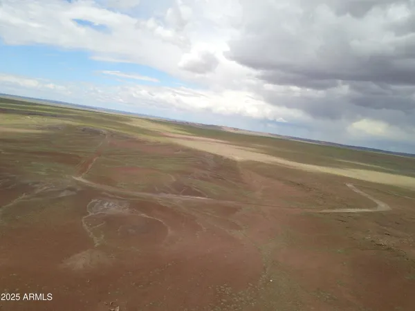 $13,900 | 45 Acres At Carrizo Ranch, Unit 409, St. Johns, AZ 85936