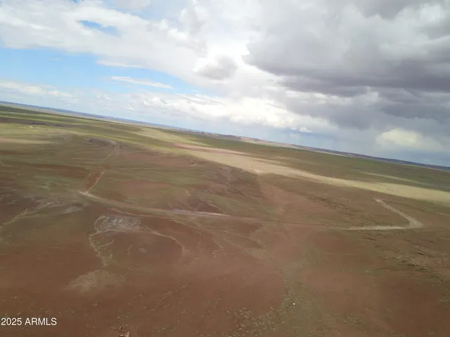 $13,900 | 45 Acres At Carrizo Ranch, Unit 409, St. Johns, AZ 85936