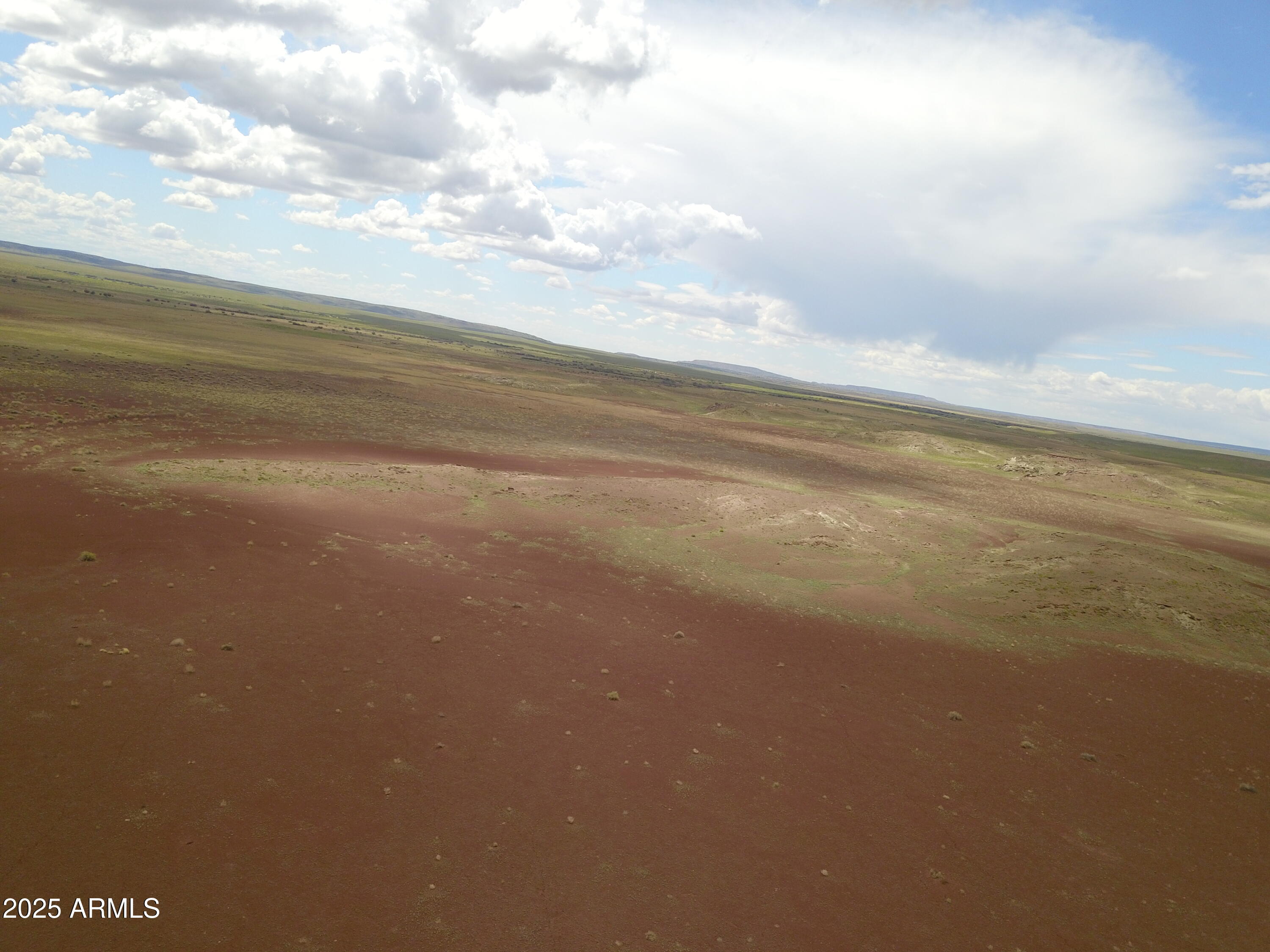 45 Acres At Carrizo Ranch, Unit 409 St. Johns, AZ 85936 - Photo 2 of 7 46_12 Pic 2