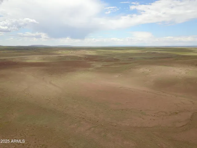 $13,900 | 45 Acres At Carrizo Ranch, Unit 409, St. Johns, AZ 85936