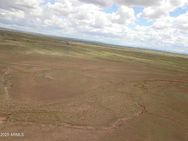 $13,900 | 45 Acres At Carrizo Ranch, Unit 409, St. Johns, AZ 85936