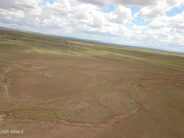 $13,900 | 45 Acres At Carrizo Ranch, Unit 409, St. Johns, AZ 85936