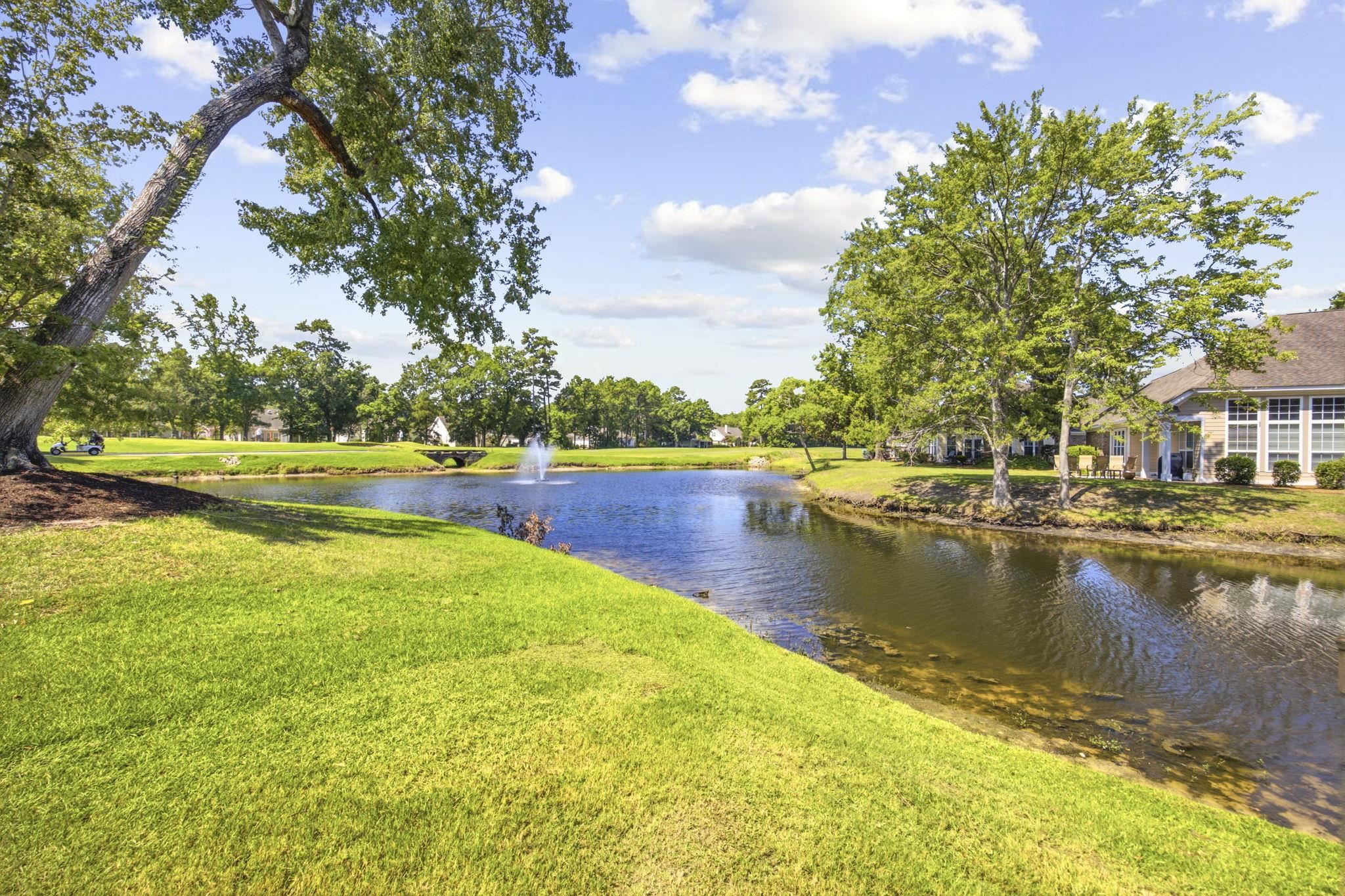 4464 Firethorne Drive Murrells Inlet, SC 29576 - Photo 55 of 84