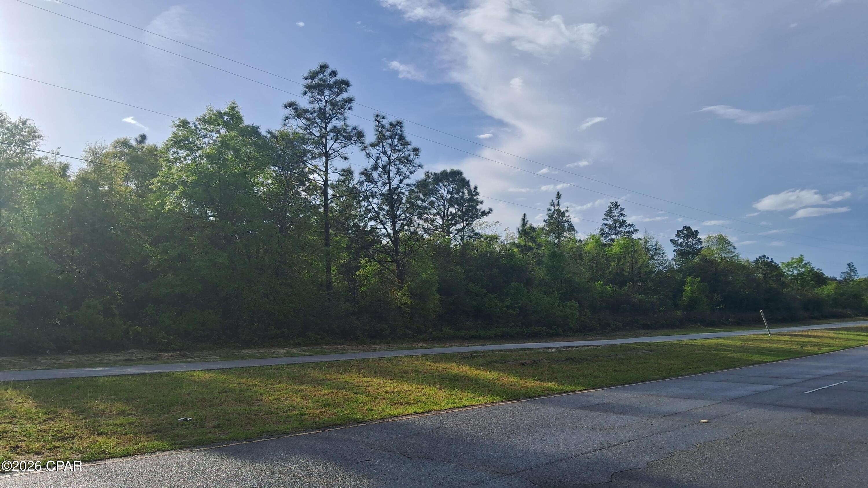 0 Deltona Boulevard Chipley, FL 32428 - Photo 5 of 8