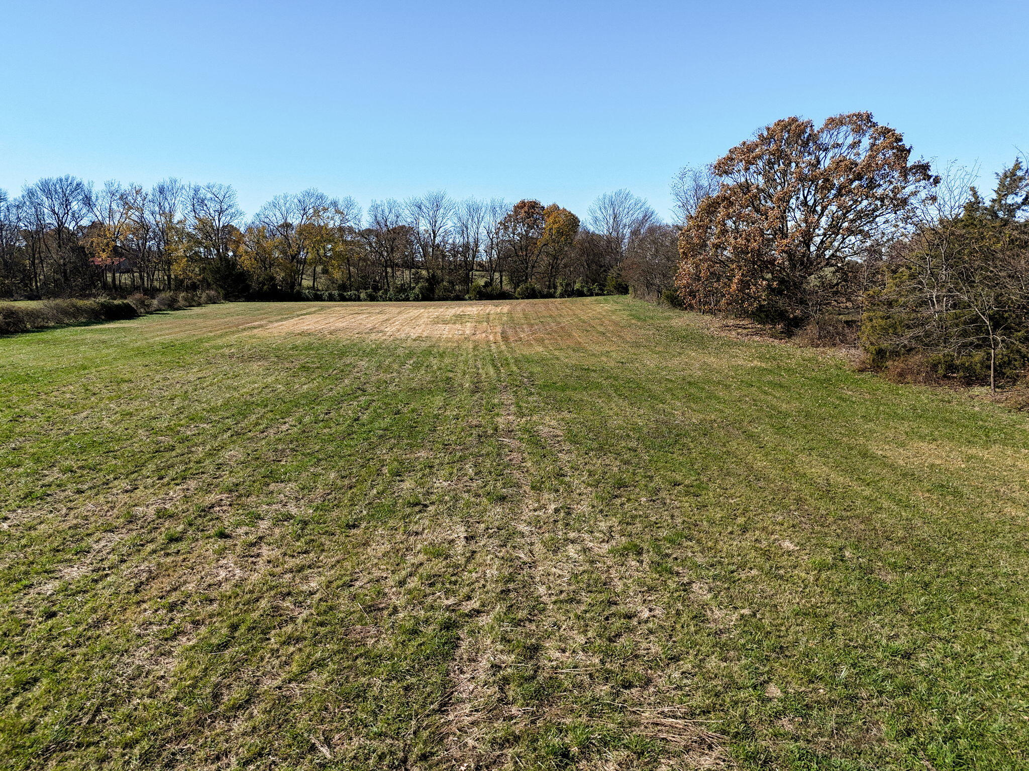 1971 Robinson Road Clever, MO 65631 - Photo 1 of 1 1971 Robinson Rd-6