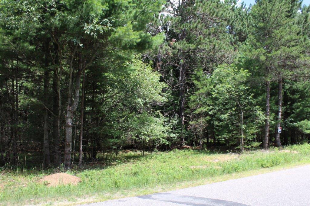 On Dyer Road, Unit LOT 38 Eagle River, WI 54521 - Photo 3 of 8 Gallery Image 3