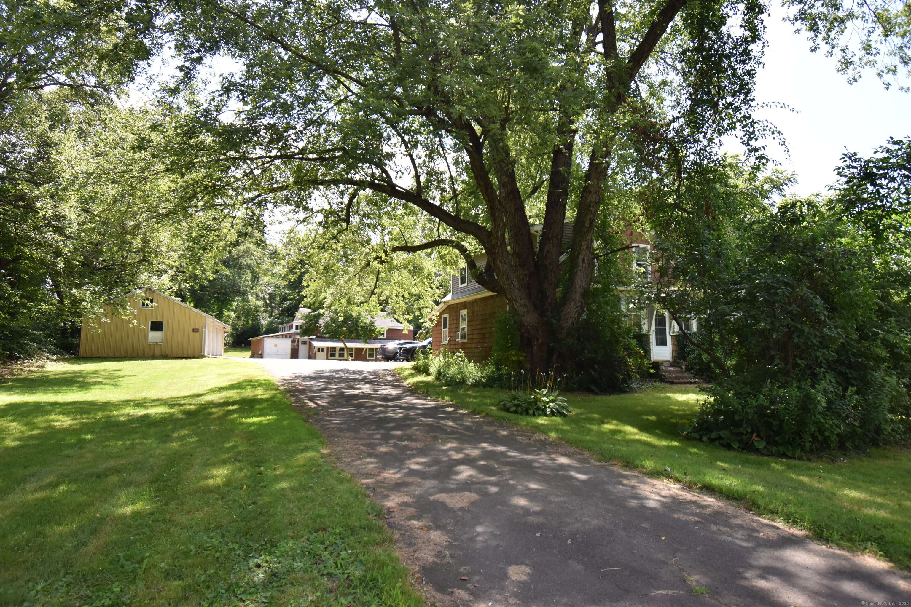 a view of a trees in a yard