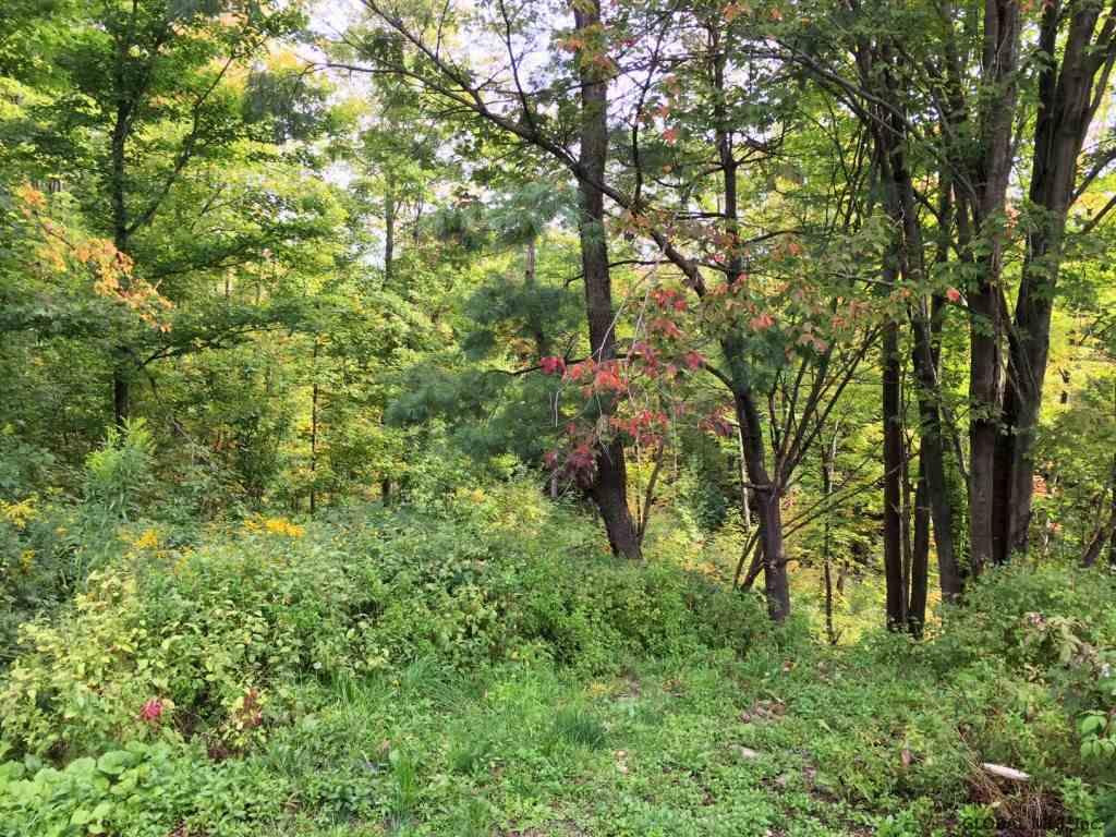 186 Taber Road Jefferson, NY 12093 - Photo 5 of 19 Photo 5
