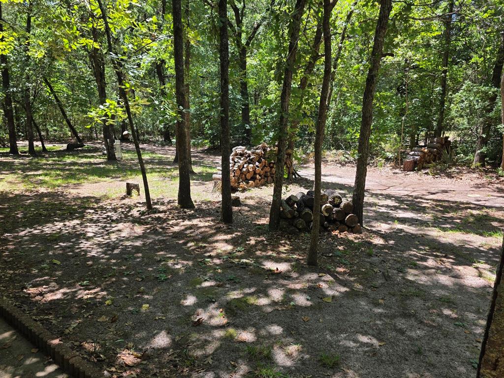 3872 East State Highway 154 Quitman, TX 75783 - Photo 19 of 40 a view of a park with large trees