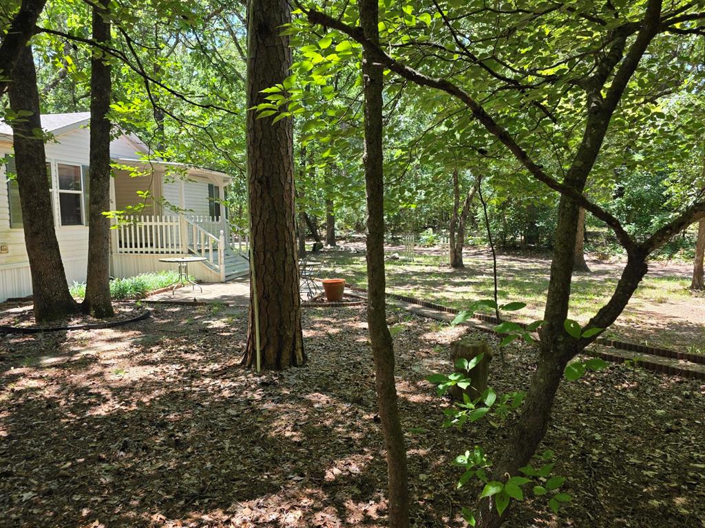 3872 East State Highway 154 Quitman, TX 75783 - Photo 20 of 40 a view of a trees in a yard