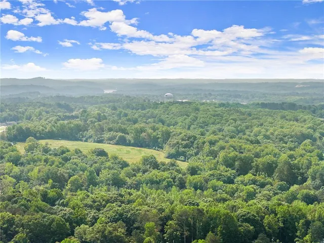 view of a tree with a yard