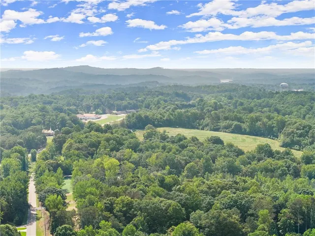 a view of a lush green forest with large trees