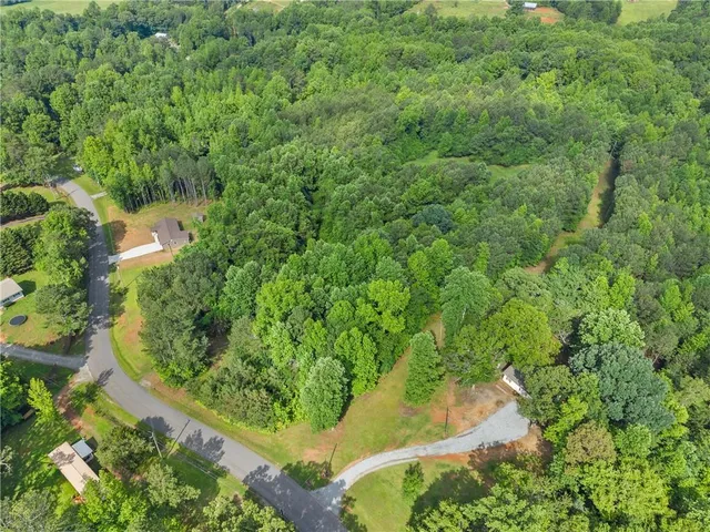 a view of a lush green forest