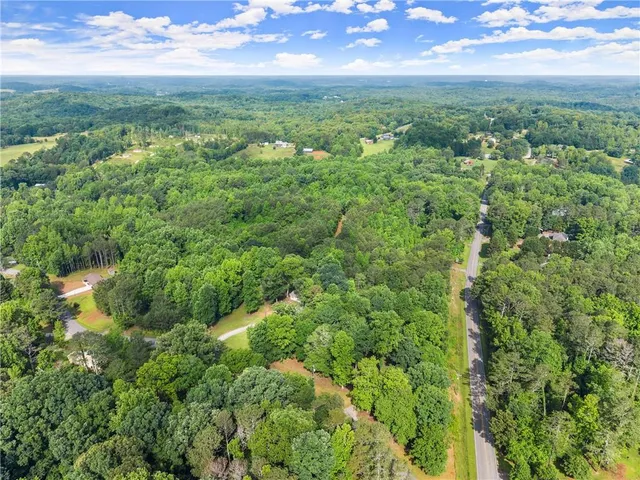 a view of a lush green forest with lawn chairs and plants