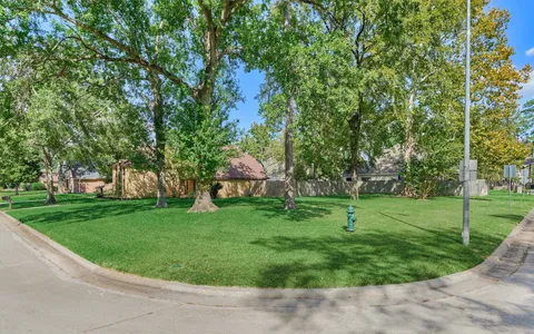 a view of a backyard with large trees