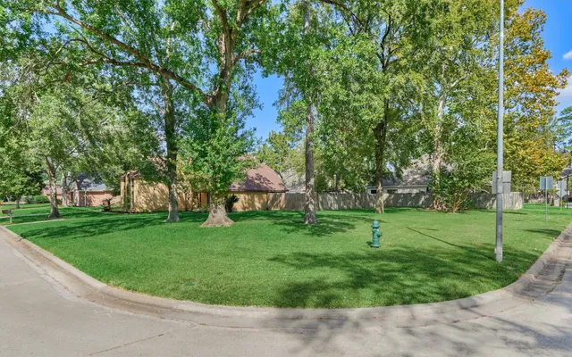 a view of a backyard with large trees