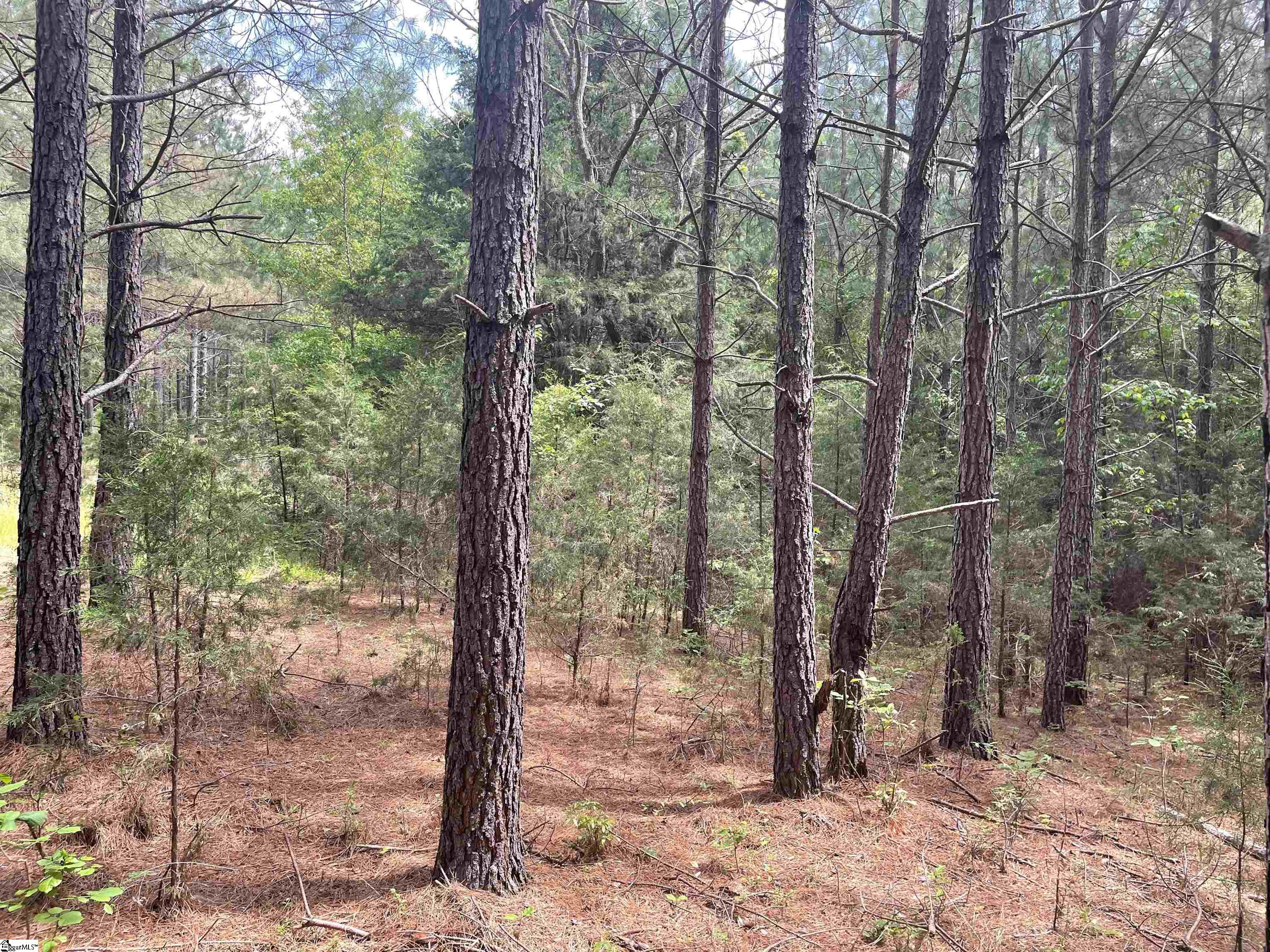 0 Lincoln Road Gray Court, SC 29645 - Photo 2 of 20 Gallery Image 2