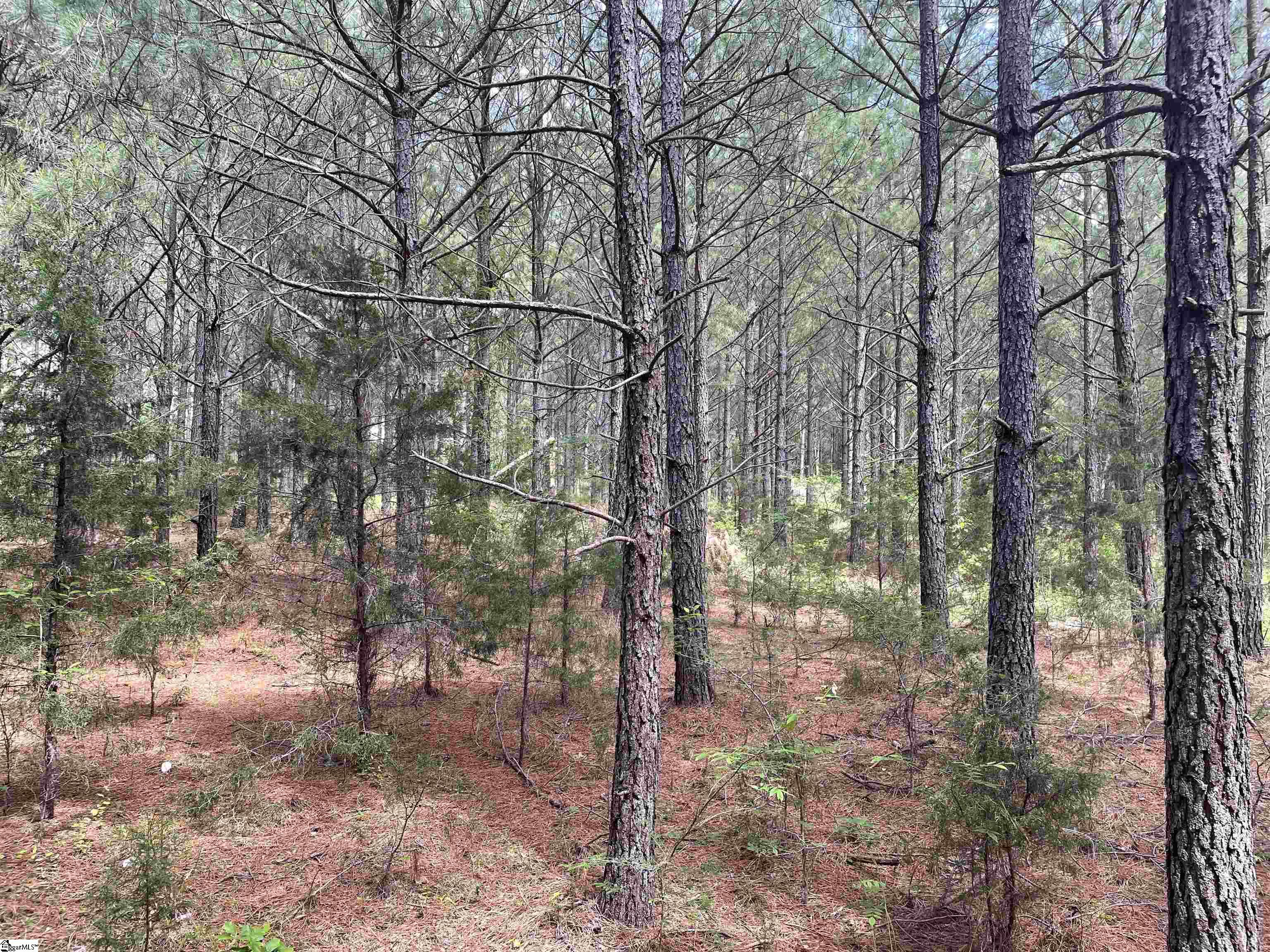 0 Lincoln Road Gray Court, SC 29645 - Photo 3 of 20 Gallery Image 3